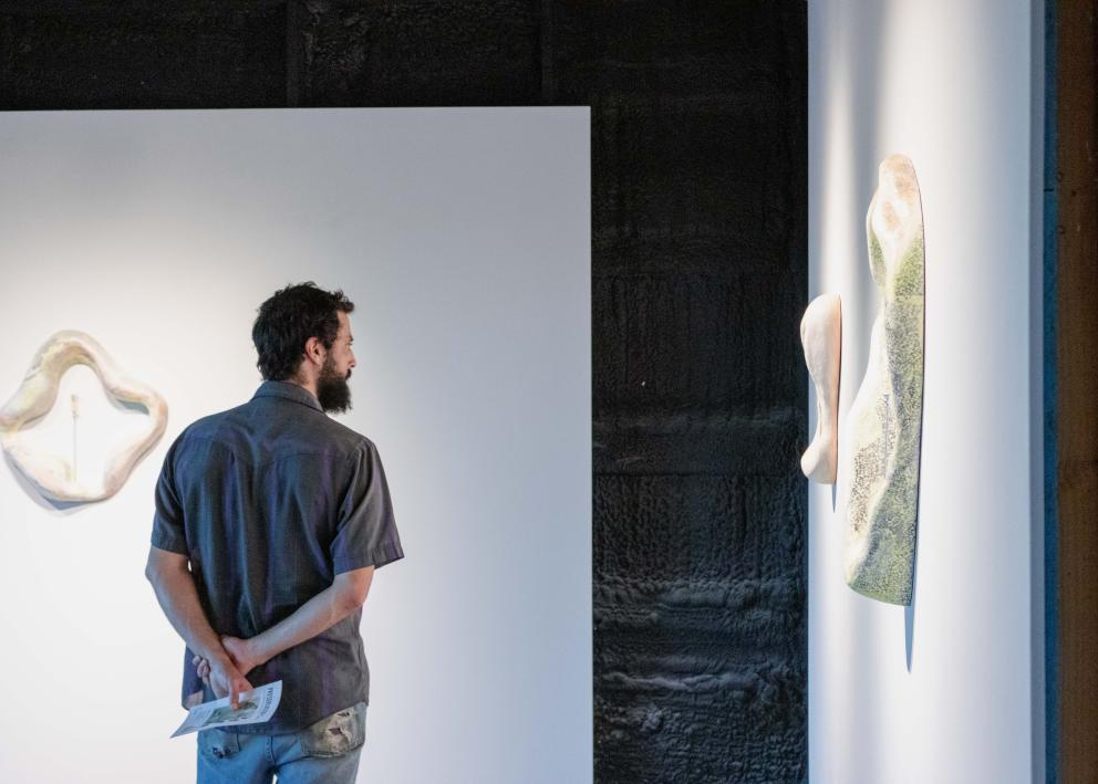 Gallery goer looking at art