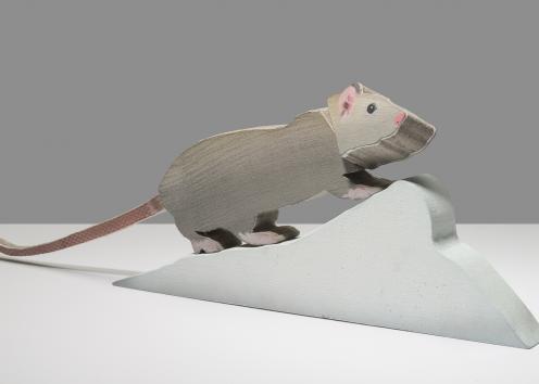 Snow Lump Rat